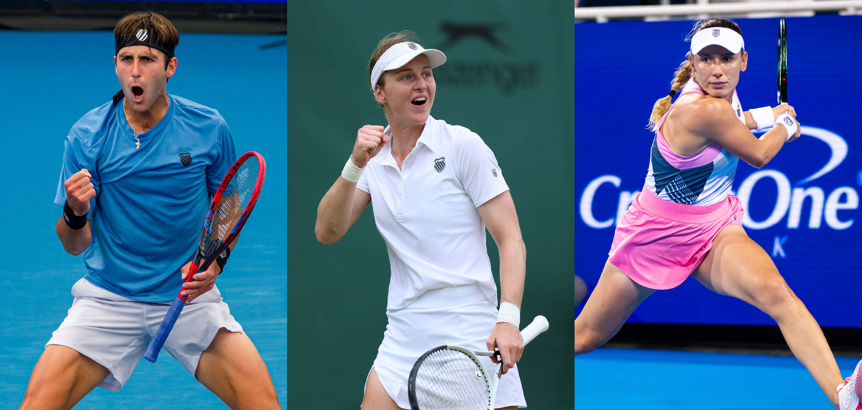 并提供了一 并提供了一