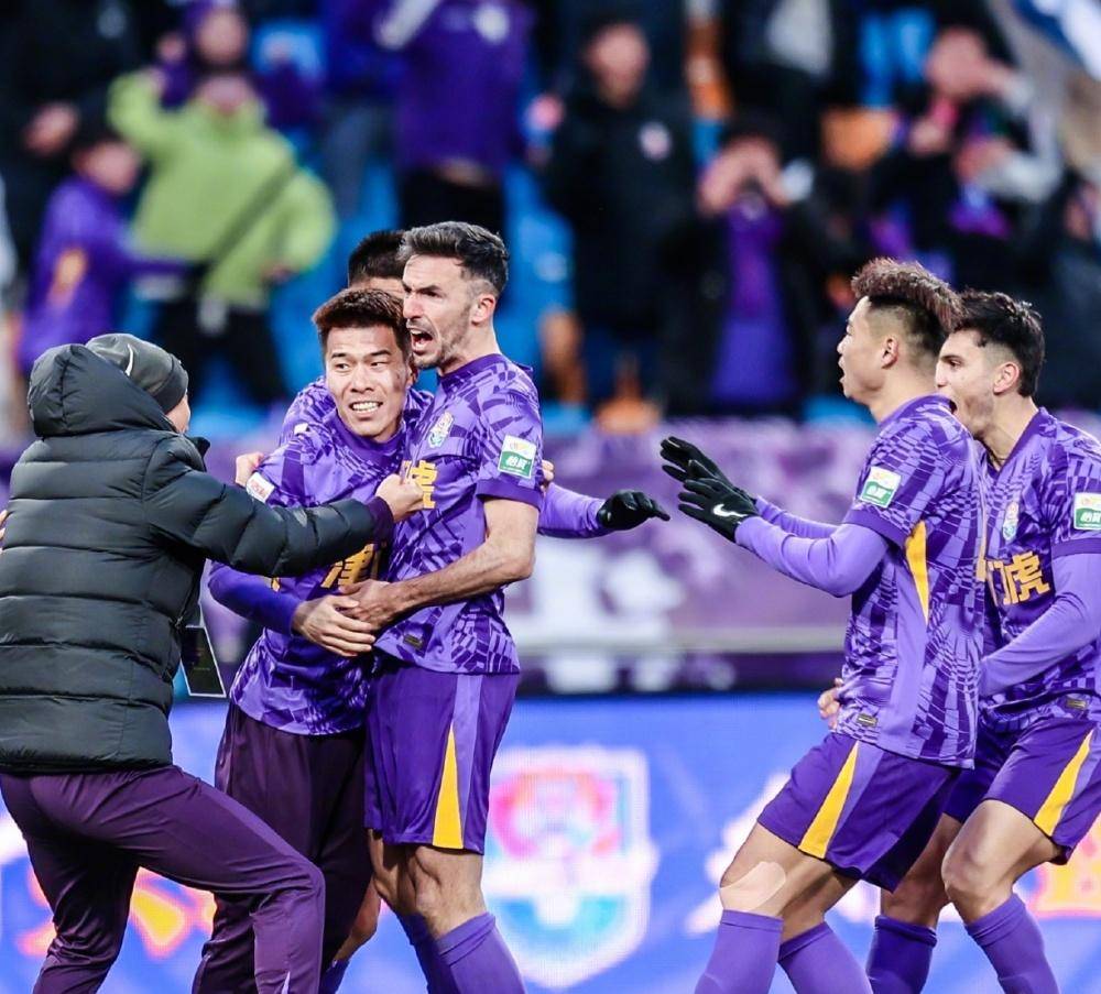 将是雄狮队 将是雄狮队